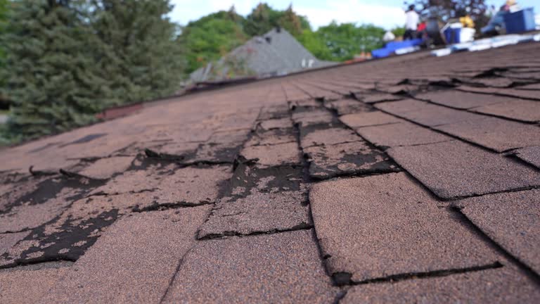 Best Sheet Metal Roofing  in Bay City, OR