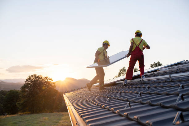 Best Roof Moss and Algae Removal  in Bay City, OR